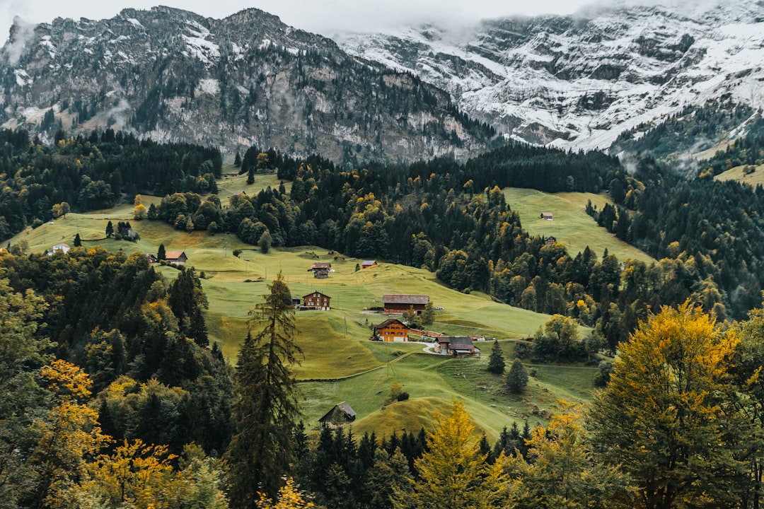 Switzerland Exhibition Non-EU Customs Guide: Operational Procedures for European Exhibitors